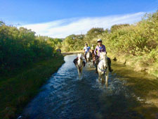 Mexico-Oaxaca-Ocotlan Valley to La Compañía